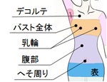 無痛　体　表　脱毛